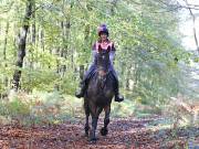 Image 129 in ANGLIAN DISTANCE RIDERS. BRANDON. 28TH OCTOBER 2018.