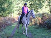 Image 13 in ANGLIAN DISTANCE RIDERS. BRANDON. 28TH OCTOBER 2018.