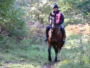 Image 130 in ANGLIAN DISTANCE RIDERS. BRANDON. 28TH OCTOBER 2018.