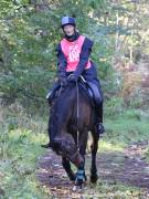 Image 131 in ANGLIAN DISTANCE RIDERS. BRANDON. 28TH OCTOBER 2018.