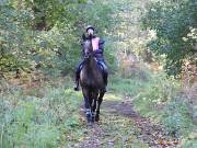 Image 132 in ANGLIAN DISTANCE RIDERS. BRANDON. 28TH OCTOBER 2018.