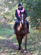 Image 133 in ANGLIAN DISTANCE RIDERS. BRANDON. 28TH OCTOBER 2018.