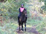 Image 135 in ANGLIAN DISTANCE RIDERS. BRANDON. 28TH OCTOBER 2018.