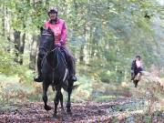 Image 136 in ANGLIAN DISTANCE RIDERS. BRANDON. 28TH OCTOBER 2018.