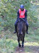 Image 137 in ANGLIAN DISTANCE RIDERS. BRANDON. 28TH OCTOBER 2018.