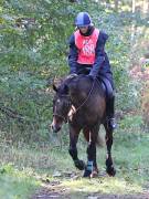 Image 138 in ANGLIAN DISTANCE RIDERS. BRANDON. 28TH OCTOBER 2018.