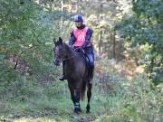 Image 139 in ANGLIAN DISTANCE RIDERS. BRANDON. 28TH OCTOBER 2018.