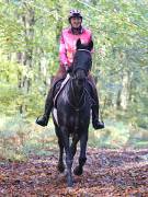 Image 140 in ANGLIAN DISTANCE RIDERS. BRANDON. 28TH OCTOBER 2018.