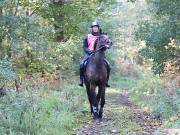 Image 141 in ANGLIAN DISTANCE RIDERS. BRANDON. 28TH OCTOBER 2018.