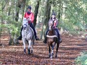 Image 143 in ANGLIAN DISTANCE RIDERS. BRANDON. 28TH OCTOBER 2018.