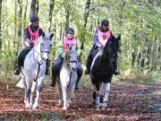 Image 144 in ANGLIAN DISTANCE RIDERS. BRANDON. 28TH OCTOBER 2018.