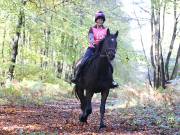 Image 145 in ANGLIAN DISTANCE RIDERS. BRANDON. 28TH OCTOBER 2018.