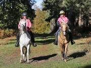 Image 147 in ANGLIAN DISTANCE RIDERS. BRANDON. 28TH OCTOBER 2018.