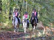 Image 149 in ANGLIAN DISTANCE RIDERS. BRANDON. 28TH OCTOBER 2018.