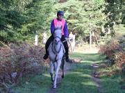 Image 15 in ANGLIAN DISTANCE RIDERS. BRANDON. 28TH OCTOBER 2018.