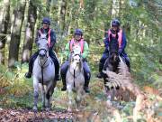 Image 150 in ANGLIAN DISTANCE RIDERS. BRANDON. 28TH OCTOBER 2018.