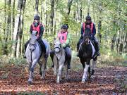Image 151 in ANGLIAN DISTANCE RIDERS. BRANDON. 28TH OCTOBER 2018.