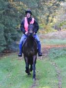 Image 16 in ANGLIAN DISTANCE RIDERS. BRANDON. 28TH OCTOBER 2018.