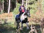 Image 2 in ANGLIAN DISTANCE RIDERS. BRANDON. 28TH OCTOBER 2018.