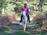 Image 22 in ANGLIAN DISTANCE RIDERS. BRANDON. 28TH OCTOBER 2018.