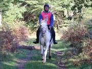 Image 23 in ANGLIAN DISTANCE RIDERS. BRANDON. 28TH OCTOBER 2018.