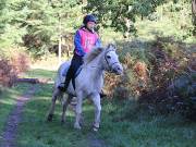 Image 24 in ANGLIAN DISTANCE RIDERS. BRANDON. 28TH OCTOBER 2018.
