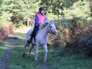 Image 24 in ANGLIAN DISTANCE RIDERS. BRANDON. 28TH OCTOBER 2018.