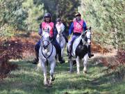 Image 25 in ANGLIAN DISTANCE RIDERS. BRANDON. 28TH OCTOBER 2018.