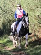 Image 26 in ANGLIAN DISTANCE RIDERS. BRANDON. 28TH OCTOBER 2018.