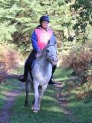 Image 27 in ANGLIAN DISTANCE RIDERS. BRANDON. 28TH OCTOBER 2018.