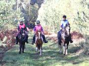 Image 29 in ANGLIAN DISTANCE RIDERS. BRANDON. 28TH OCTOBER 2018.