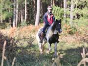 Image 3 in ANGLIAN DISTANCE RIDERS. BRANDON. 28TH OCTOBER 2018.