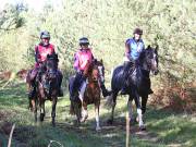 Image 32 in ANGLIAN DISTANCE RIDERS. BRANDON. 28TH OCTOBER 2018.