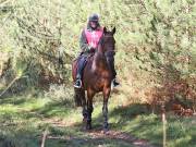 Image 33 in ANGLIAN DISTANCE RIDERS. BRANDON. 28TH OCTOBER 2018.