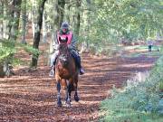 Image 34 in ANGLIAN DISTANCE RIDERS. BRANDON. 28TH OCTOBER 2018.