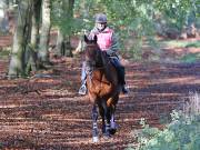 Image 35 in ANGLIAN DISTANCE RIDERS. BRANDON. 28TH OCTOBER 2018.