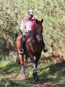 Image 37 in ANGLIAN DISTANCE RIDERS. BRANDON. 28TH OCTOBER 2018.