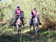 Image 40 in ANGLIAN DISTANCE RIDERS. BRANDON. 28TH OCTOBER 2018.