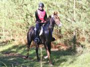 Image 46 in ANGLIAN DISTANCE RIDERS. BRANDON. 28TH OCTOBER 2018.