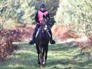 Image 47 in ANGLIAN DISTANCE RIDERS. BRANDON. 28TH OCTOBER 2018.