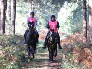 Image 49 in ANGLIAN DISTANCE RIDERS. BRANDON. 28TH OCTOBER 2018.