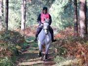 Image 53 in ANGLIAN DISTANCE RIDERS. BRANDON. 28TH OCTOBER 2018.