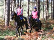 Image 54 in ANGLIAN DISTANCE RIDERS. BRANDON. 28TH OCTOBER 2018.