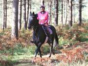 Image 55 in ANGLIAN DISTANCE RIDERS. BRANDON. 28TH OCTOBER 2018.