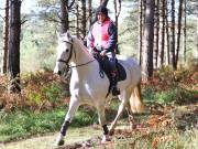 Image 56 in ANGLIAN DISTANCE RIDERS. BRANDON. 28TH OCTOBER 2018.