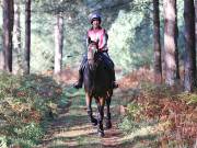 Image 58 in ANGLIAN DISTANCE RIDERS. BRANDON. 28TH OCTOBER 2018.