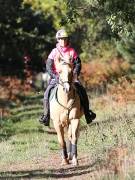 Image 61 in ANGLIAN DISTANCE RIDERS. BRANDON. 28TH OCTOBER 2018.