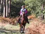 Image 67 in ANGLIAN DISTANCE RIDERS. BRANDON. 28TH OCTOBER 2018.