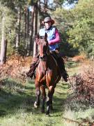 Image 69 in ANGLIAN DISTANCE RIDERS. BRANDON. 28TH OCTOBER 2018.