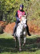 Image 73 in ANGLIAN DISTANCE RIDERS. BRANDON. 28TH OCTOBER 2018.